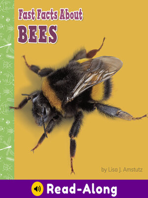 cover image of Fast Facts About Bees